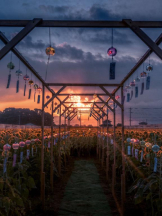 ViVian - ひなみの女の子ブログ画像