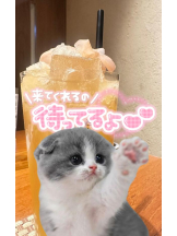 ViVian - ひなみの女の子ブログ画像