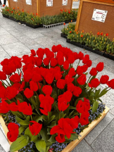 ViVian - ひなみの女の子ブログ画像