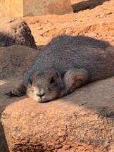 ViVian - あこの女の子ブログ画像