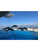 ViVian - あこの女の子ブログ画像