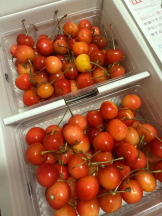 ViVian - あこの女の子ブログ画像