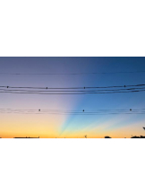 ViVian - あこの女の子ブログ画像