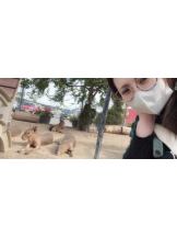 ViVian - あこの女の子ブログ画像