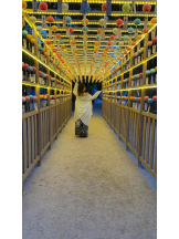 ViVian - あこの女の子ブログ画像