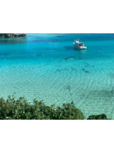 God Field - くるみの女の子ブログ画像