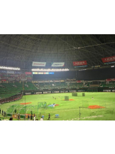 God Field - くるみの女の子ブログ画像