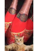 God Field - くるみの女の子ブログ画像