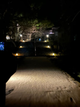 God Field - はなの女の子ブログ画像