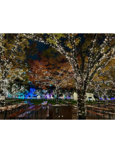 God Field - はなの女の子ブログ画像