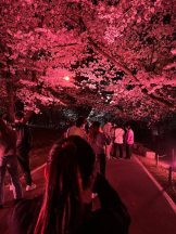 God Field - はなの女の子ブログ画像