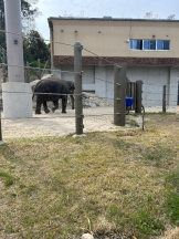 God Field - はなの女の子ブログ画像