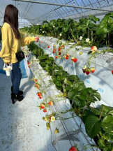 God Field - ひなの女の子ブログ画像