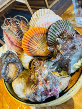 God Field - ひなの女の子ブログ画像