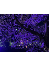 God Field - ひなの女の子ブログ画像