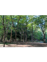 God Field - かすみの女の子ブログ画像