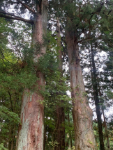 God Field - かすみの女の子ブログ画像