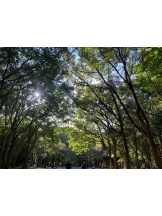 God Field - かすみの女の子ブログ画像