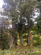 God Field - かすみの女の子ブログ画像