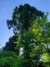 God Field - かすみの女の子ブログ画像