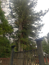 God Field - かすみの女の子ブログ画像