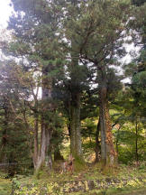 God Field - かすみの女の子ブログ画像