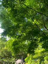 God Field - かすみの女の子ブログ画像