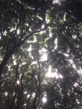 God Field - かすみの女の子ブログ画像