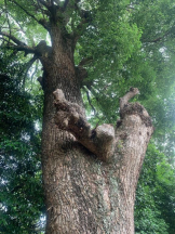 God Field - かすみの女の子ブログ画像