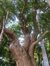 God Field - かすみの女の子ブログ画像