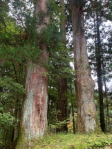God Field - かすみの女の子ブログ画像