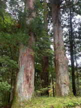 God Field - かすみの女の子ブログ画像