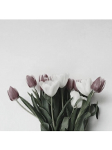 黒崎OIRAN - 華月の女の子ブログ画像