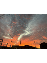 黒崎OIRAN - 華月の女の子ブログ画像