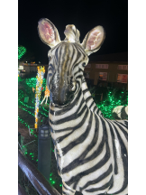 黒崎OIRAN - 華月の女の子ブログ画像