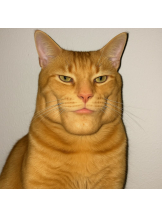 黒崎OIRAN - 華月の女の子ブログ画像