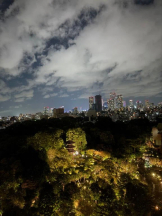 God Field - まりあの女の子ブログ画像