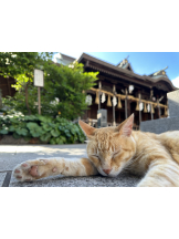 WA-hoo - めろ姫の女の子ブログ画像