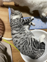 WA-hoo - めろ姫の女の子ブログ画像