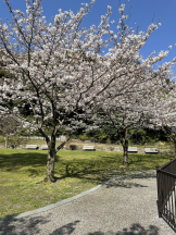 WA-hoo - めろ姫の女の子ブログ画像