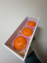 ViVian - れなの女の子ブログ画像