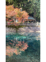 黒崎OIRAN - 🌟黒崎OIRAN 敏腕ガール YUI 🌟の女の子ブログ画像