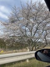 黒崎OIRAN - 🌟黒崎OIRAN 敏腕ガール YUI 🌟の女の子ブログ画像