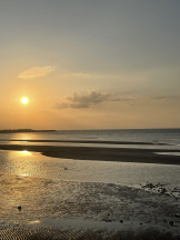 黒崎OIRAN - 🌟黒崎OIRAN 敏腕ガール YUI 🌟の女の子ブログ画像