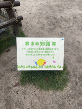 黒崎OIRAN - 🌟黒崎OIRAN 敏腕ガール YUI 🌟の女の子ブログ画像