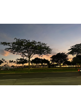 黒崎OIRAN - あみの女の子ブログ画像