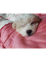 黒崎OIRAN - あみの女の子ブログ画像