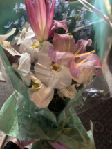 月紅 - あんの女の子ブログ画像