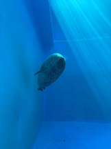 God Field - ゆうの女の子ブログ画像