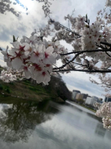 God Field - きいの女の子ブログ画像